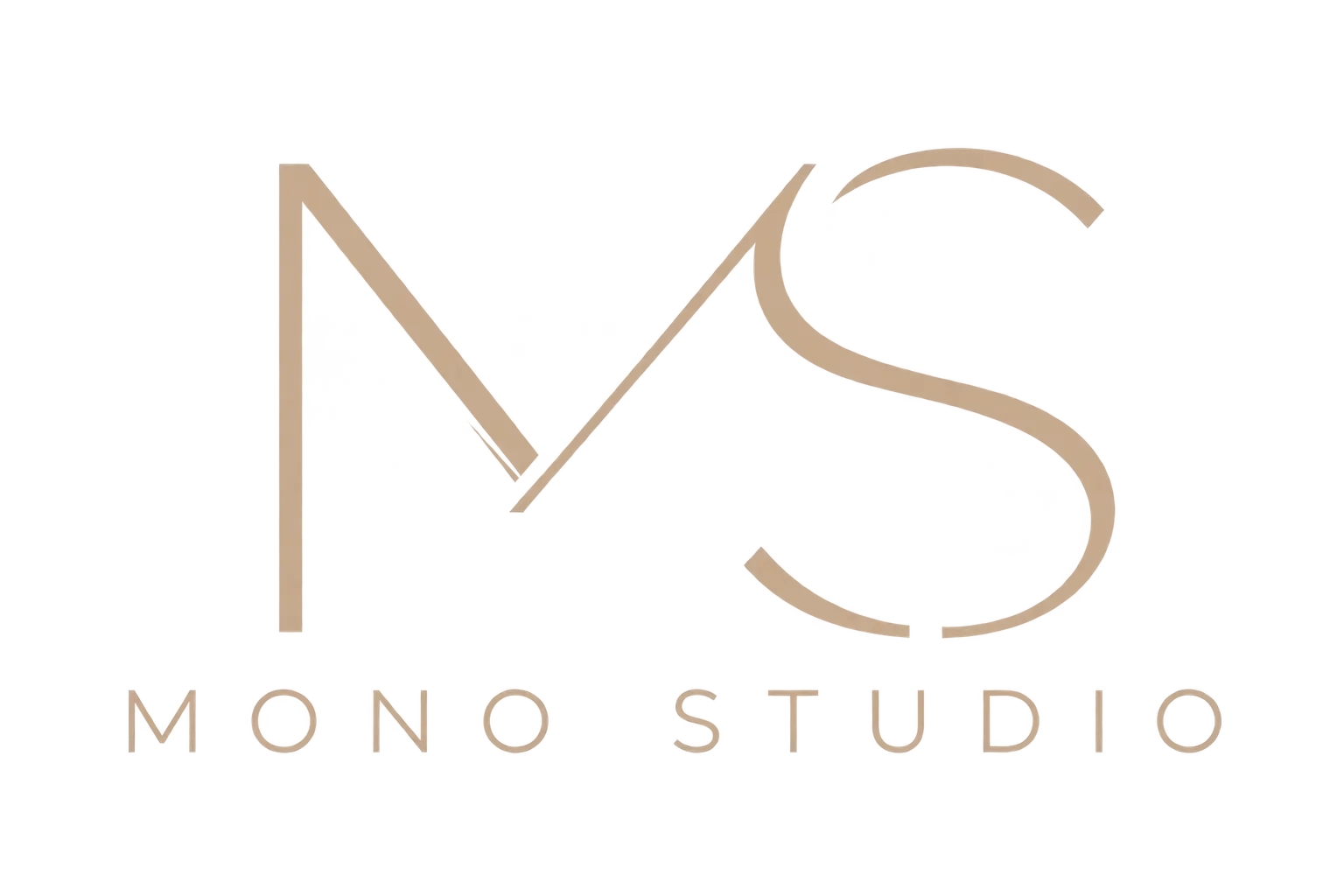 logo monostudio